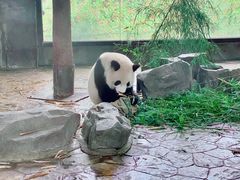 -野生动物园-停车场