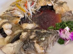 -博雅渔港·融合菜(维也纳国际大酒店)