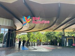 -新加坡飞禽公园