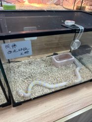 -Moni星球萌宠·小马宝莉·灵蛇·高端高阶全萌宠互动体验俱乐部(红豆国际广场店)