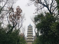 -灵谷景区