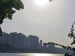 -江心屿景区