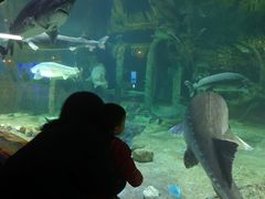 -华夏文旅海洋公园