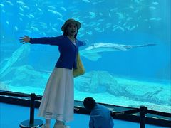 -海合安成都极地海洋公园