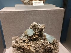 -贵州省地质博物馆