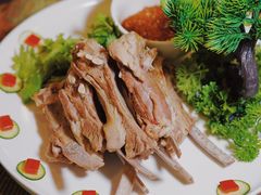 -鱼乐乐(Happy Fish)