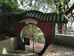 -广东惠东海龟国家级自然保护区