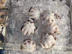 -铭聚章鱼土笋冻(松柏店)