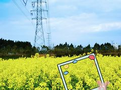 -白鹭湾湿地公园