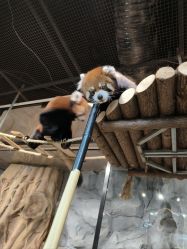 -Zoolung Zoolung动物主题公园(海信广场店)