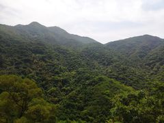 -梧桐山风景名胜区