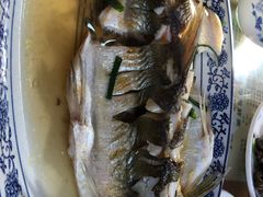 清蒸白水鱼-洞天食府(北大街店)