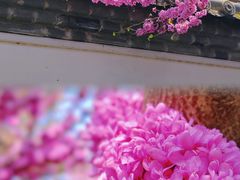 -西安青龙寺遗址景区