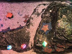 -沈阳海洋探索中心