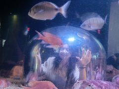 -瑞普利水族馆