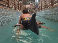 -南宫温泉水世界