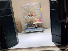 -猫色咖啡·猫咖