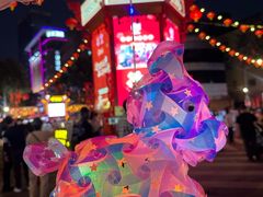 -越秀西湖花市(广州城市广场花卉店)