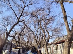 -北京国子监胡同