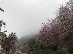 -小南山公园
