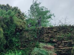 -广州神农草堂中医药博物馆