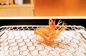 Fried Shrimp Heads