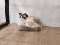 -iF摄影•全家福•证件照•形象照(南山店)