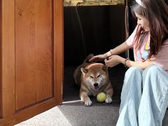 -啡语