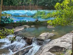 -广州白江湖森林公园