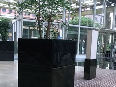 -上海外滩茂悦大酒店
