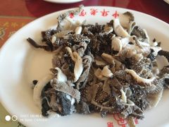 -西塔大冷面(市府大路店)