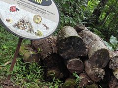 -济州森林小火车生态公园