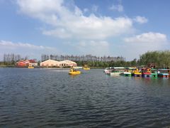 -上海长兴岛郊野公园