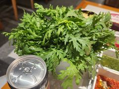 -曲氏老北京铜锅涮肉•火锅(不老街店)