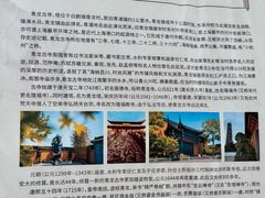 -上海青龙寺
