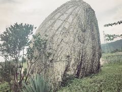 -凤翔首邑温泉度假村