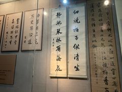 -烟台自然博物馆