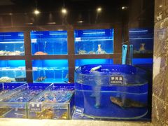 -金时代顺风大酒店(临港百联店)