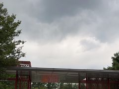 -大望京公园