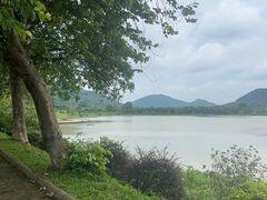 -风云岭森林公园
