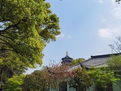 -浙江西子宾馆·瑶园咖啡厅