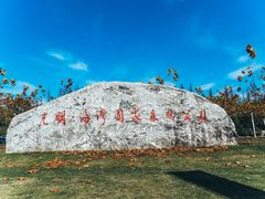 -上海海湾国家森林公园