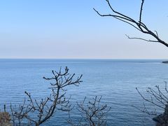 -棒棰岛宾馆景区