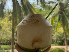 -三亚海棠湾喜来登度假酒店