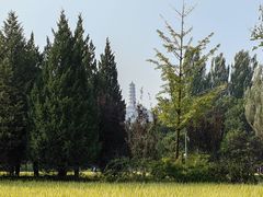 -北坞公园