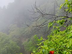 -终南山国家森林公园