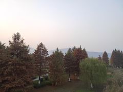 -长广溪湿地公园