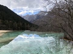 -黄龙山原始森林景区