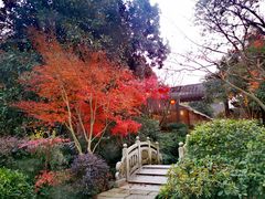 -杭州半山国家森林公园