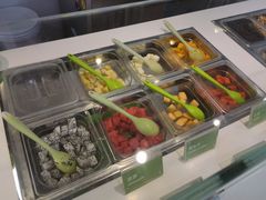 -Salud撒露欧洲冻酸奶(蓝色港湾店)